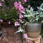 Keramični lonec Home Gardens 926.009.16